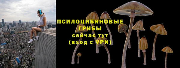 хмурый Кулебаки