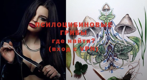 меф Богородицк