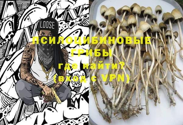 каннабис Богданович