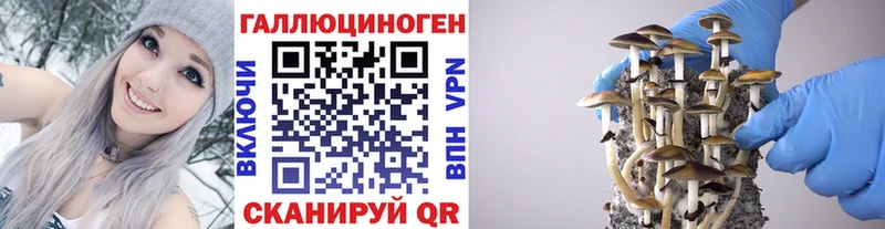 omg зеркало  Буй  Галлюциногенные грибы Magic Shrooms 